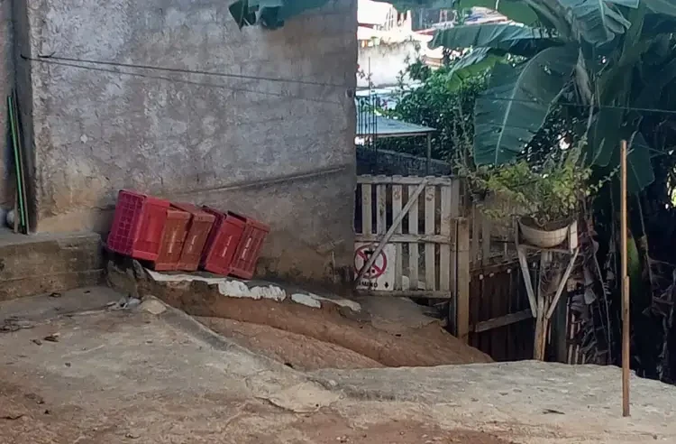 Muriaé: idosa sofre ataque de pitbull e tem braços dilacerados