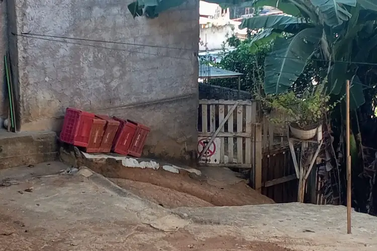 Muriaé: idosa sofre ataque de pitbull e tem braços dilacerados
