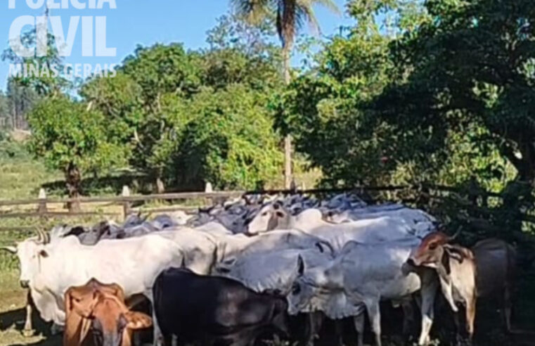 PCMG prende suspeitos por lavagem de dinheiro e tráfico de drogas em Ubá