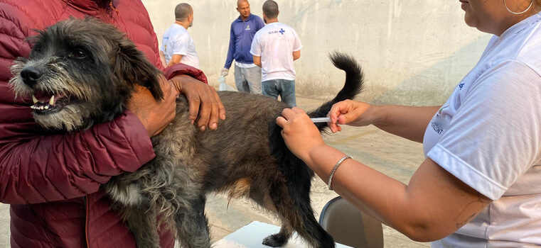 Minas Gerais inicia Campanha de vacinação contra a raiva em cães e gatos