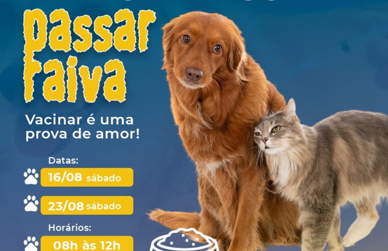 Cães e gatos em Viçosa recebem vacina antirrábica nos dias 16 e 23 de agosto