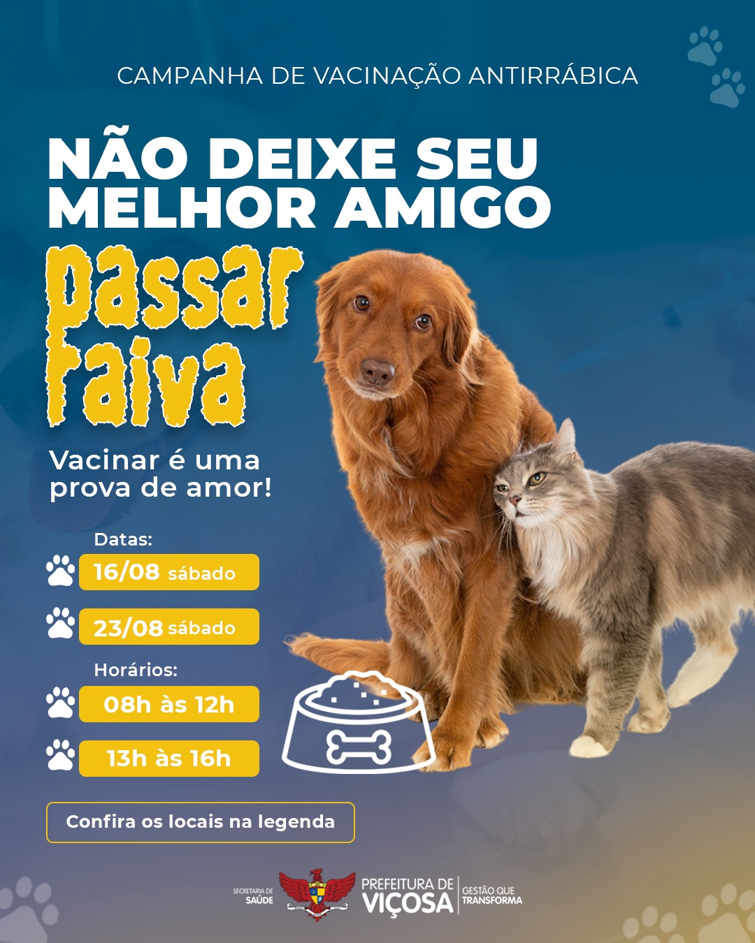 Cães e gatos em Viçosa recebem vacina antirrábica nos dias 16 e 23 de agosto