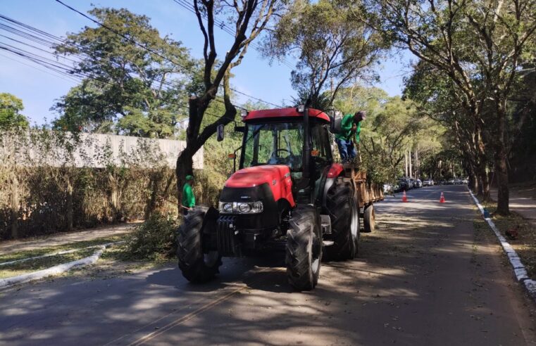 Avenida Purdue é interrompida para poda de árvores na UFV