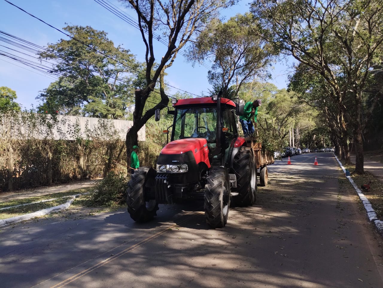 Avenida Purdue é interrompida para poda de árvores na UFV