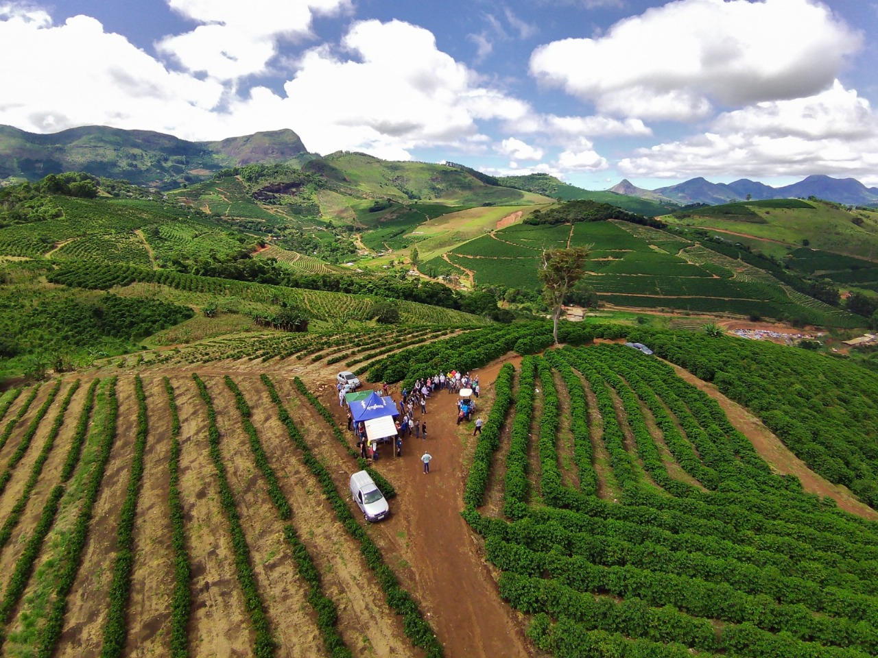 Ervália sedia Dia de Campo para cafeicultores
