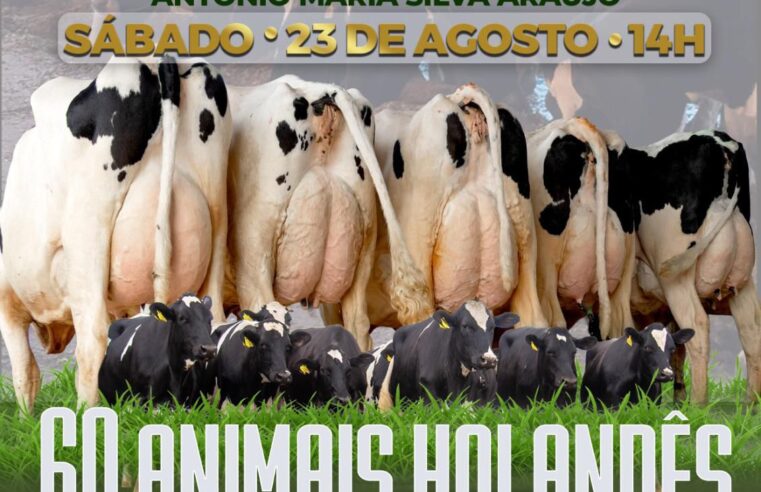 1º Leilão Anual da Fazenda Nô da Silva celebra 40 anos de Criação em Viçosa
