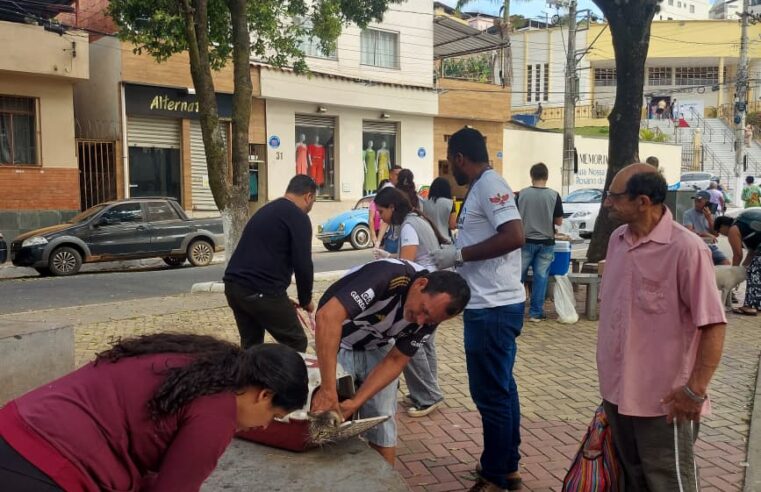 Vacinação antirrábica imuniza mais de 7 mil animais em Viçosa