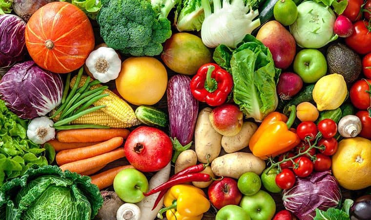 Viçosa aprova lei que institui Política Municipal de Segurança Alimentar e Nutricional Sustentável