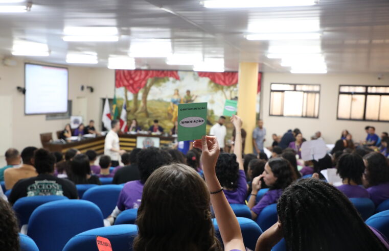 Parlamento Jovem de Minas realiza etapa regional em Ubá