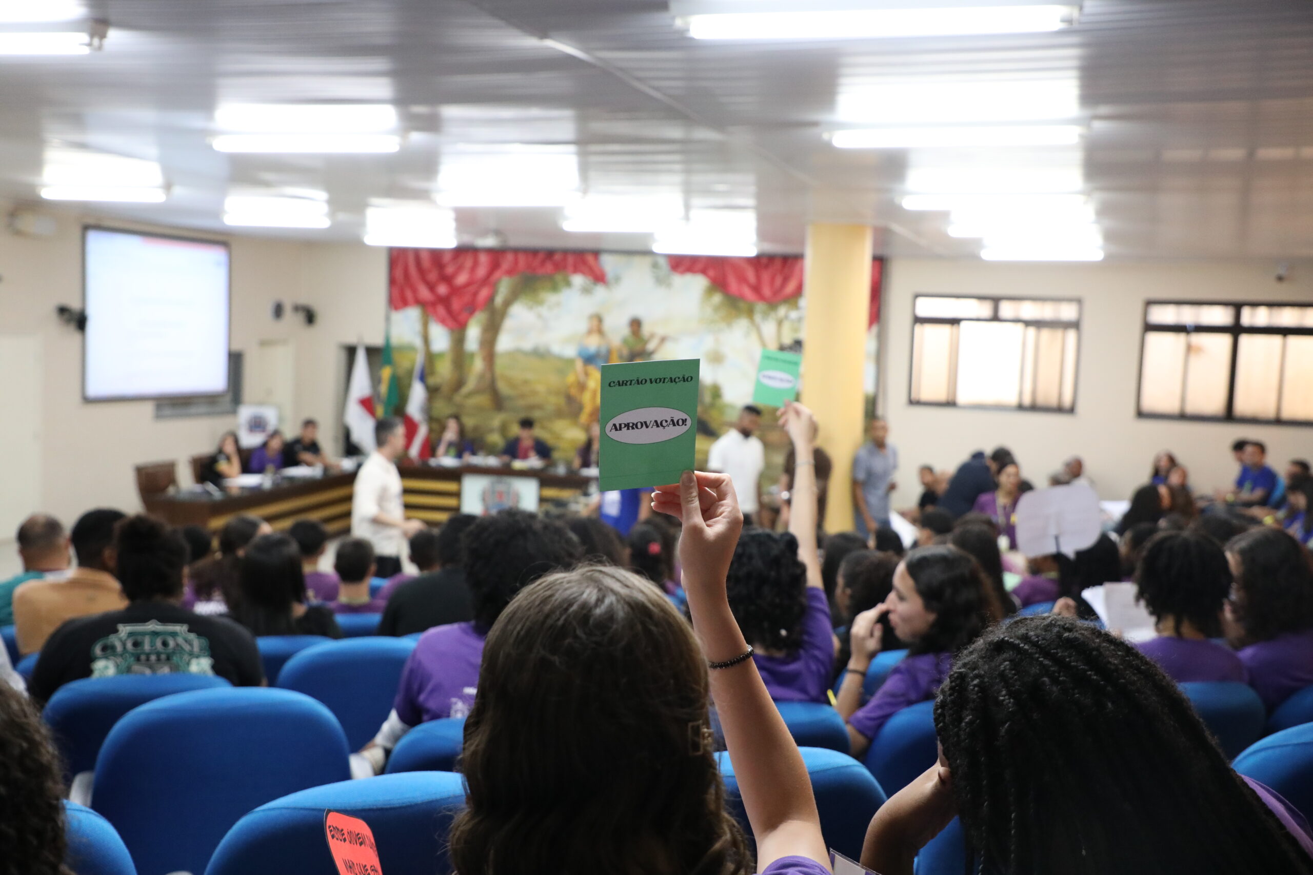 Parlamento Jovem de Minas realiza etapa regional em Ubá