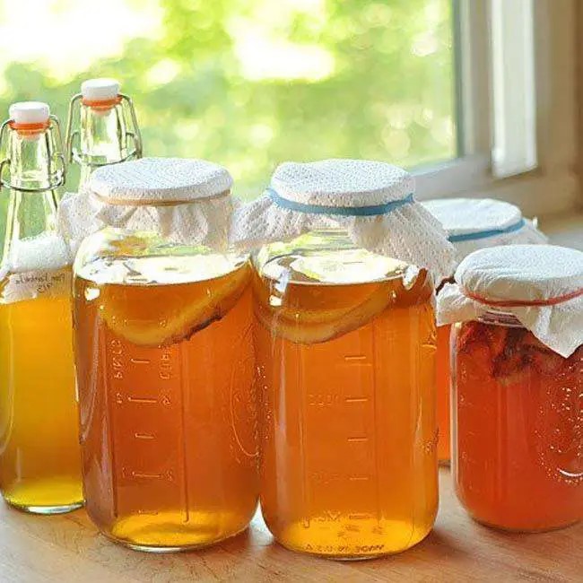 Pesquisa da UFV sobre kombucha é destaque no The New York Times
