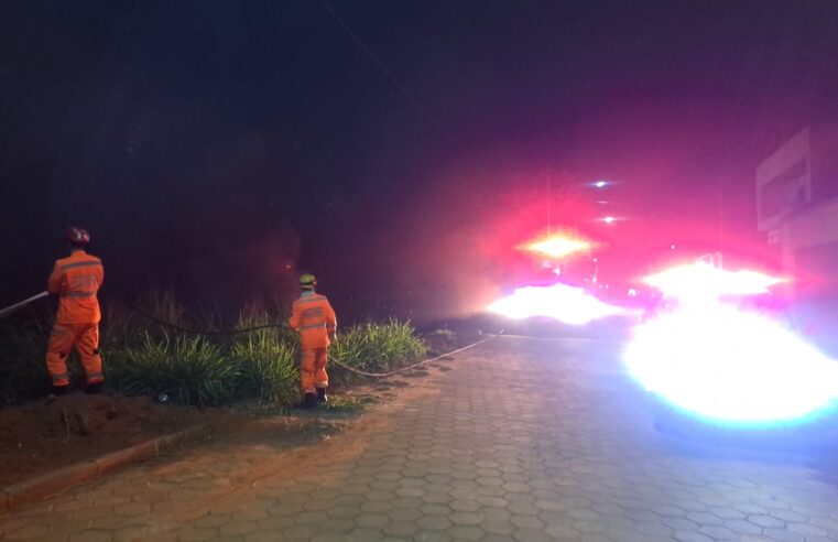 Bombeiros combatem incêndio em vegetação no bairro Júlia Molar, em Viçosa