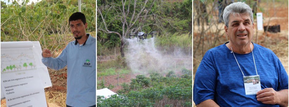 Epamig difunde cultivo da mandioca em Dia de Campo