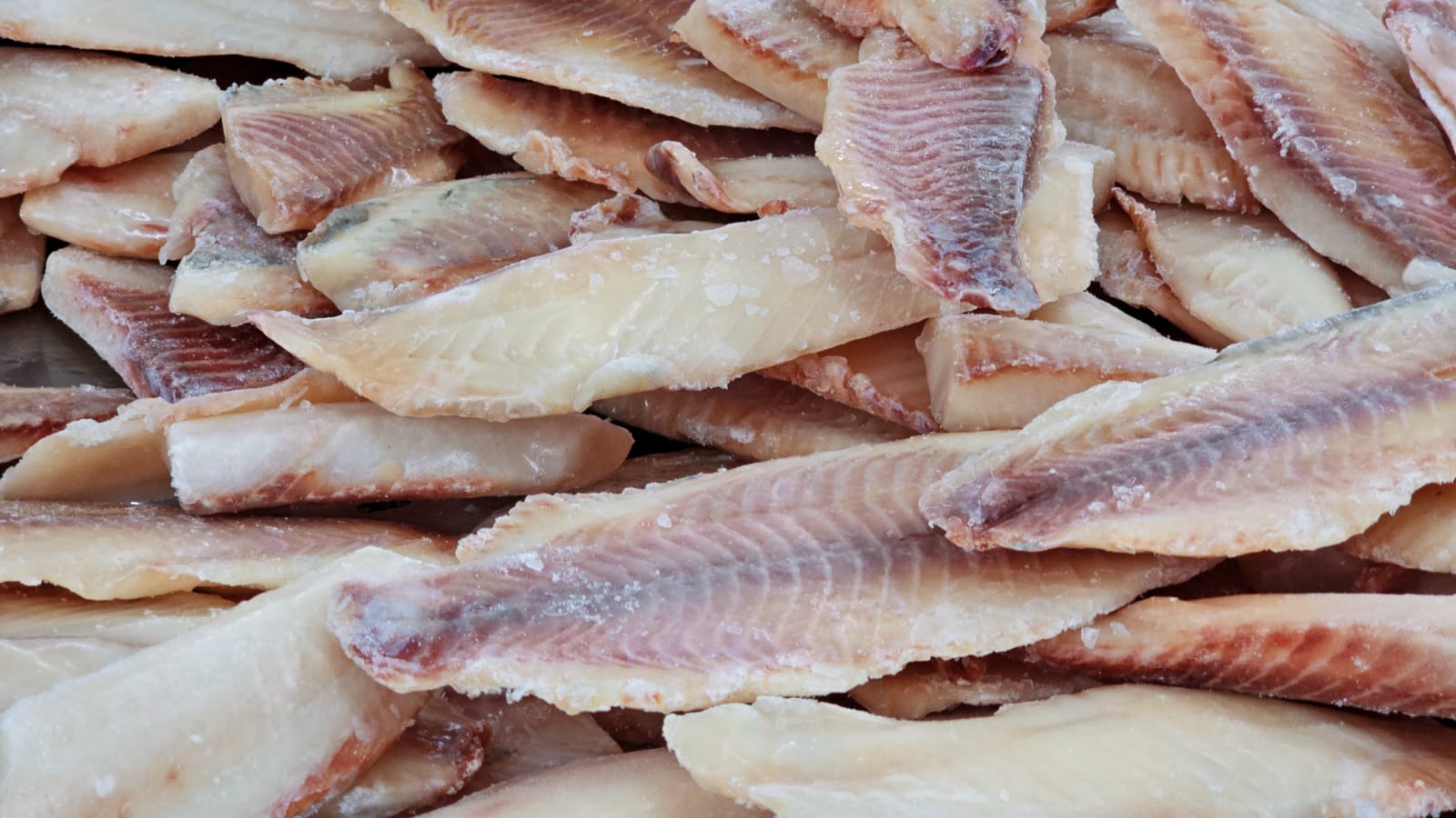 Governo de Minas apoia campanha de incentivo ao consumo de pescados no estado