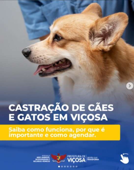 Viçosa oferece castração gratuita de cães e gatos em parceria com a SOVIPA