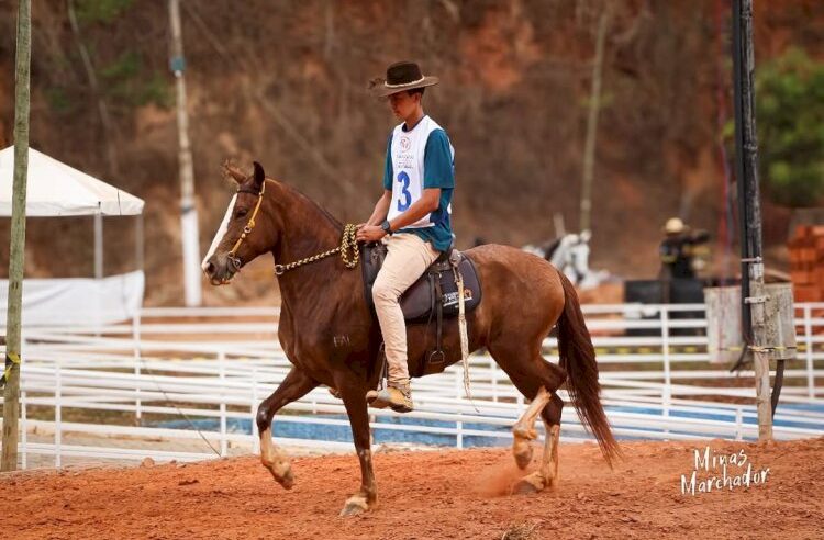 UFV sedia Copa de Marcha Beto Santana e Nacional das Poeiras neste fim de semana
