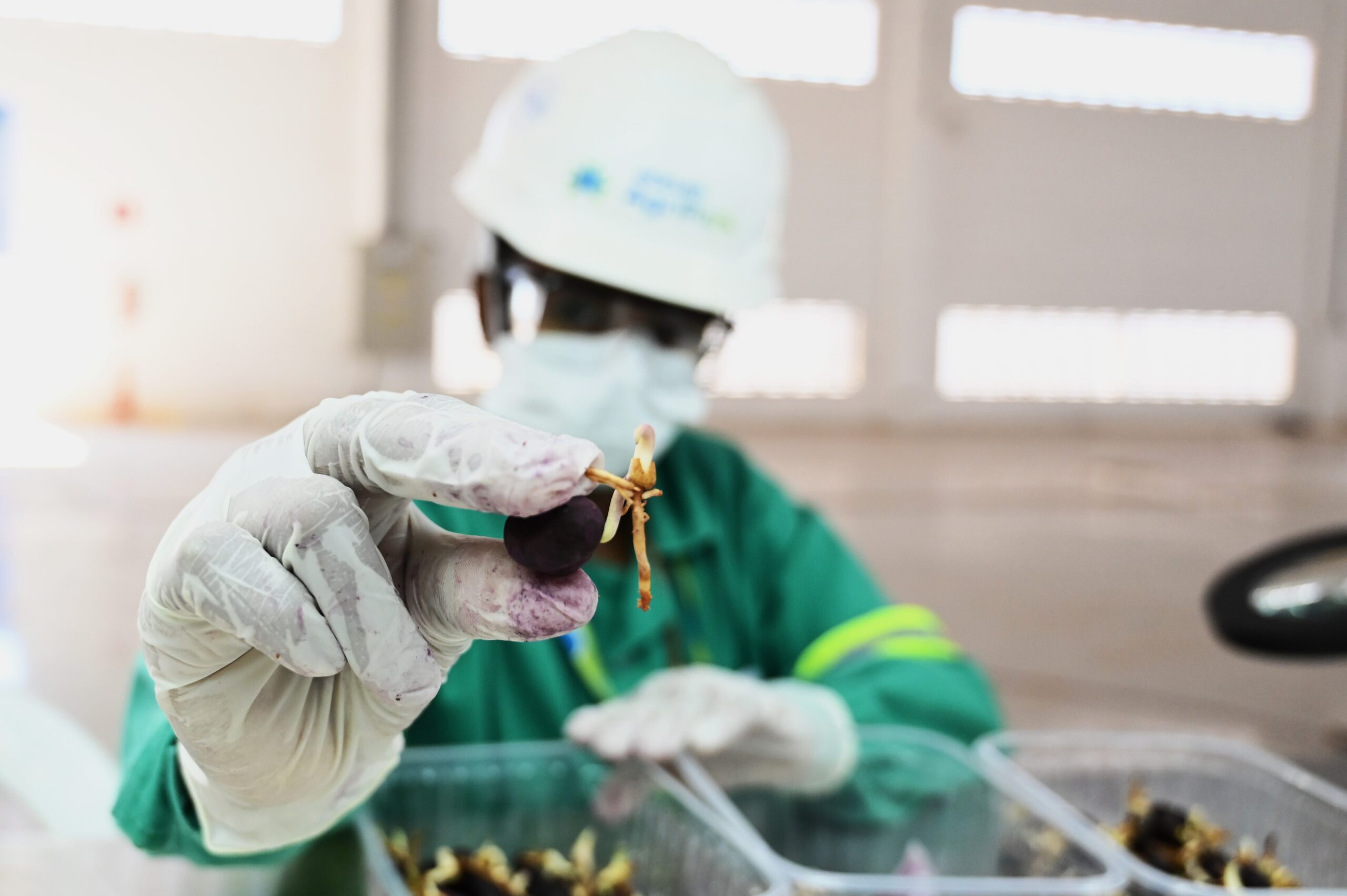 Norte de Minas atrai Centro de Inovação pioneiro em pesquisas de combustível sustentável em escala industrial