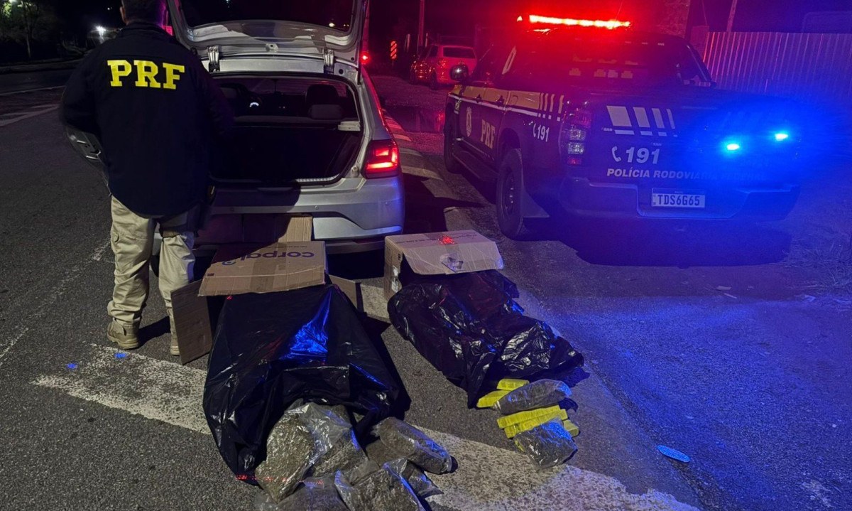 PRF apreende 48 quilos de maconha e skunk na BR-381 em Extrema
