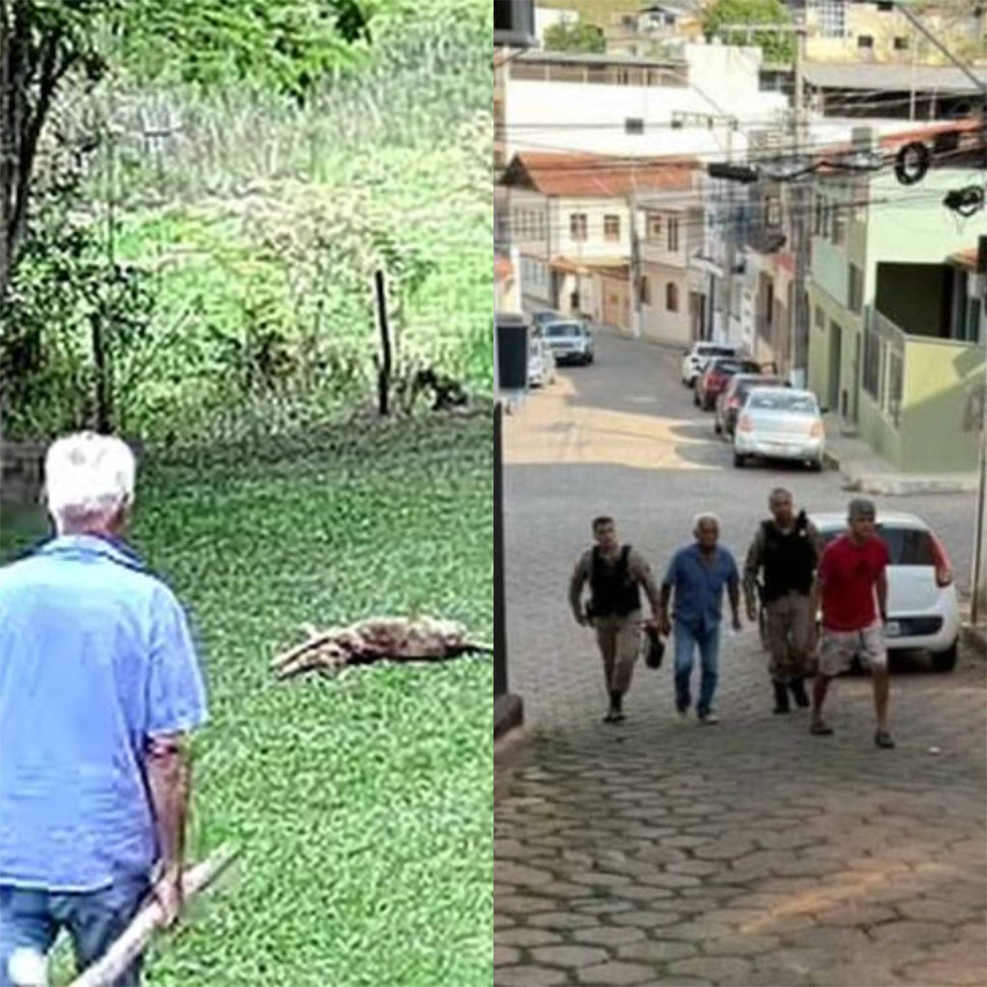 Idoso suspeito de matar cachorro a pauladas é preso na zona rural de Teixeiras