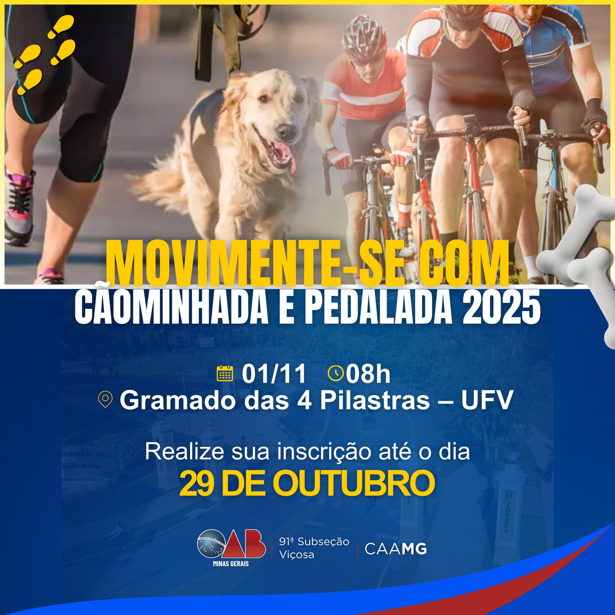 OAB  promove “Cãominhada e Pedalada 2025” com ações solidárias e atividades para toda a família