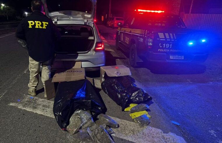 Motorista natural de Viçosa é preso com 48 kg de drogas na BR-381