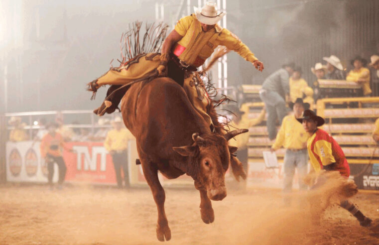 Câmara de Viçosa debate projeto que autoriza rodeios em audiência pública