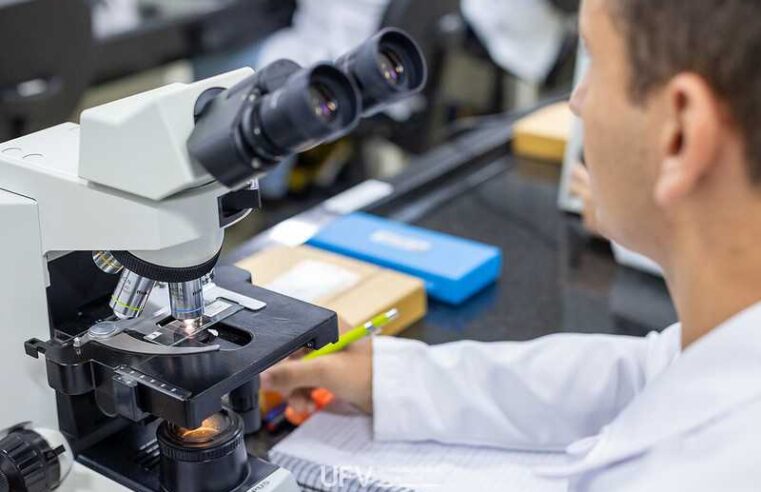 Pesquisadores da UFV figuram em lista mundial de influência científica