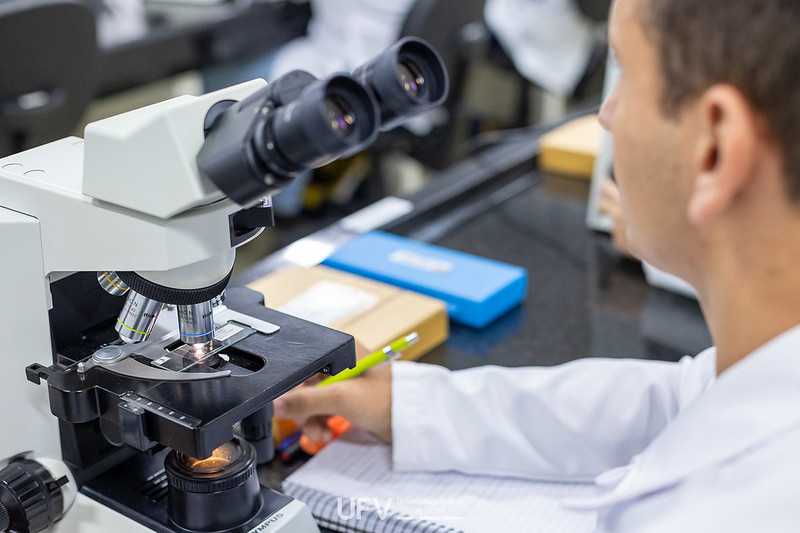 Pesquisadores da UFV figuram em lista mundial de influência científica