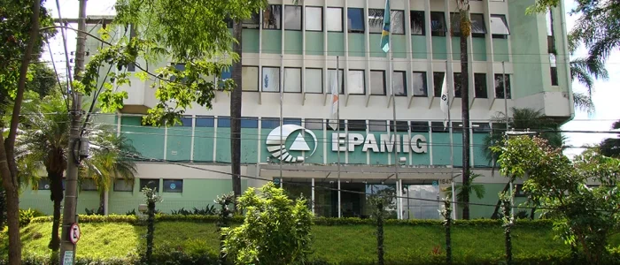 Epamig anuncia concurso público com 257 vagas para níveis médio e superior