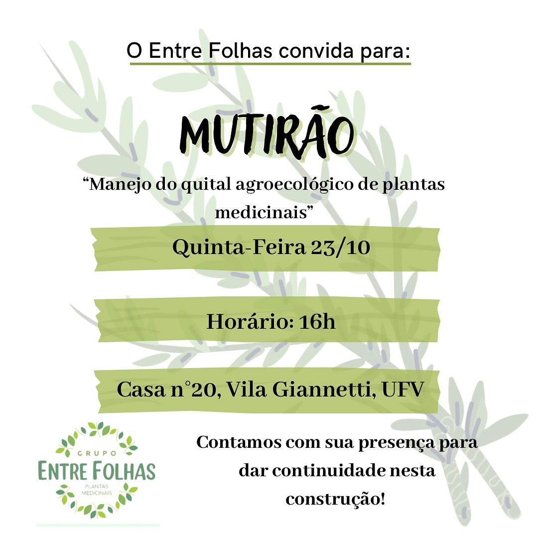 Mutirão Agroecológico Promove Manejo de Plantas Medicinais na Vila Giannetti