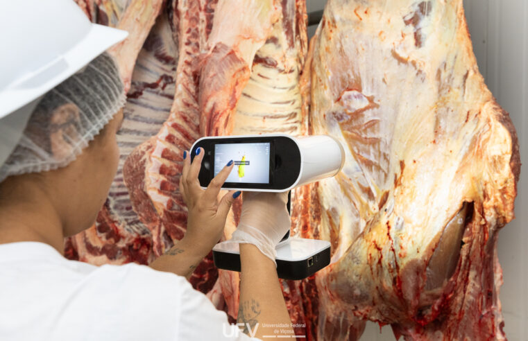 Pesquisadores desenvolvem método automatizado e de baixo custo para avaliar gordura em carcaças bovinas