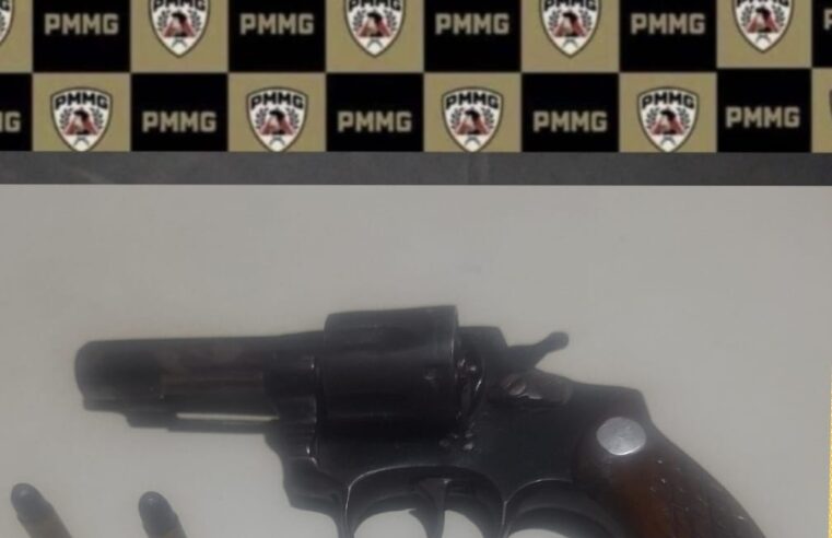 Operação da PM apreende arma em área de pasto em São Geraldo