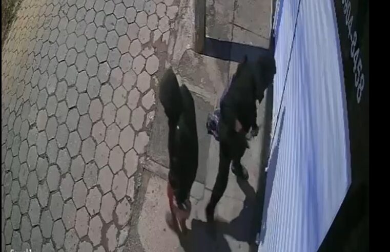 Câmeras registram tentativa de arrombamento a loja no centro de Viçosa