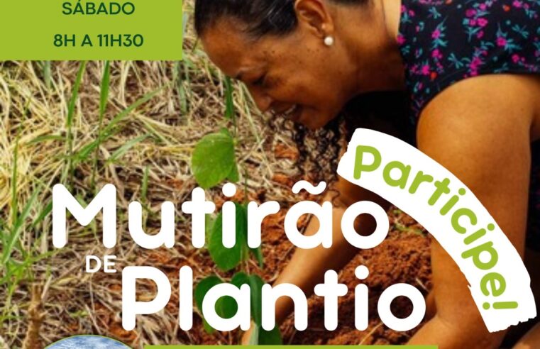 Convite à Comunidade: Mutirão de plantio de mudas no Parque do Cristo do Viçosa