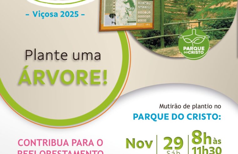 Cooperativas de Viçosa mobilizam plantio de 3 mil mudas para reflorestamento do Parque do Cristo