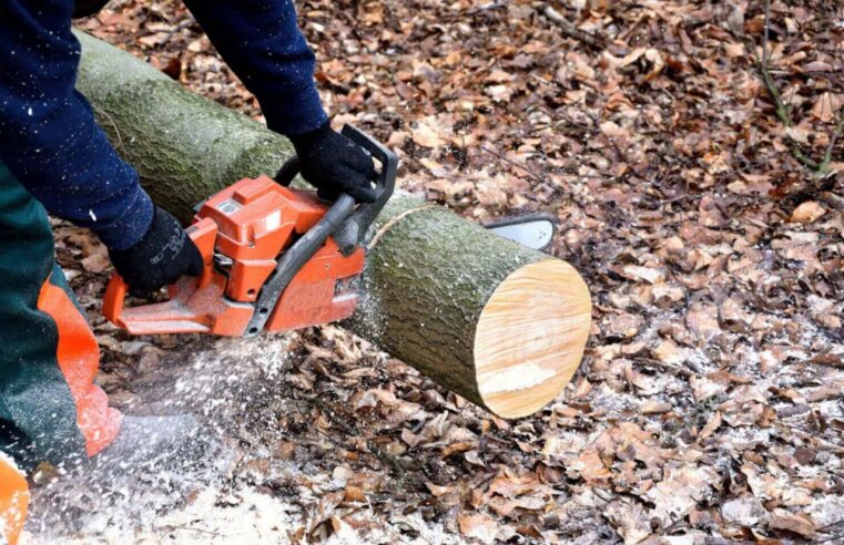 Senar Minas oferece 11 capacitações gratuitas em Viçosa e região na próxima semana