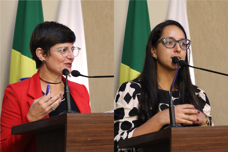 CMV aprova “Programa Permanente de Combate ao Abuso Infantil”