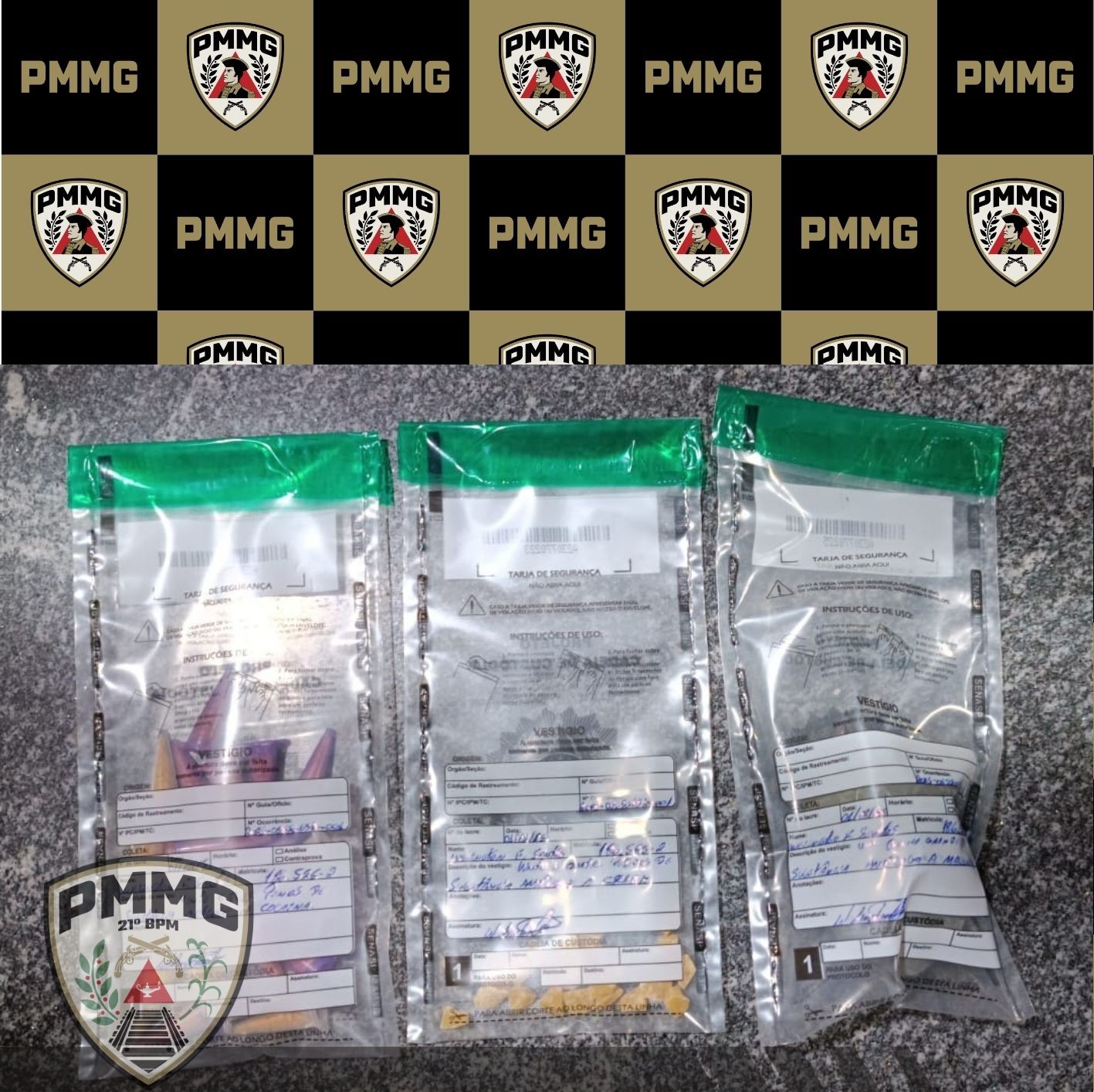 Polícia Militar apreende drogas em ponto de tráfico em Rodeiro