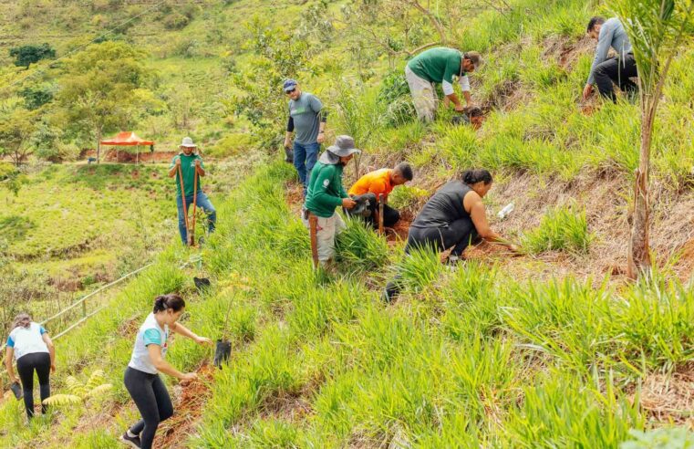 Mutirão reúne comunidade de Viçosa e promove plantio de 500 mudas no Parque do Cristo
