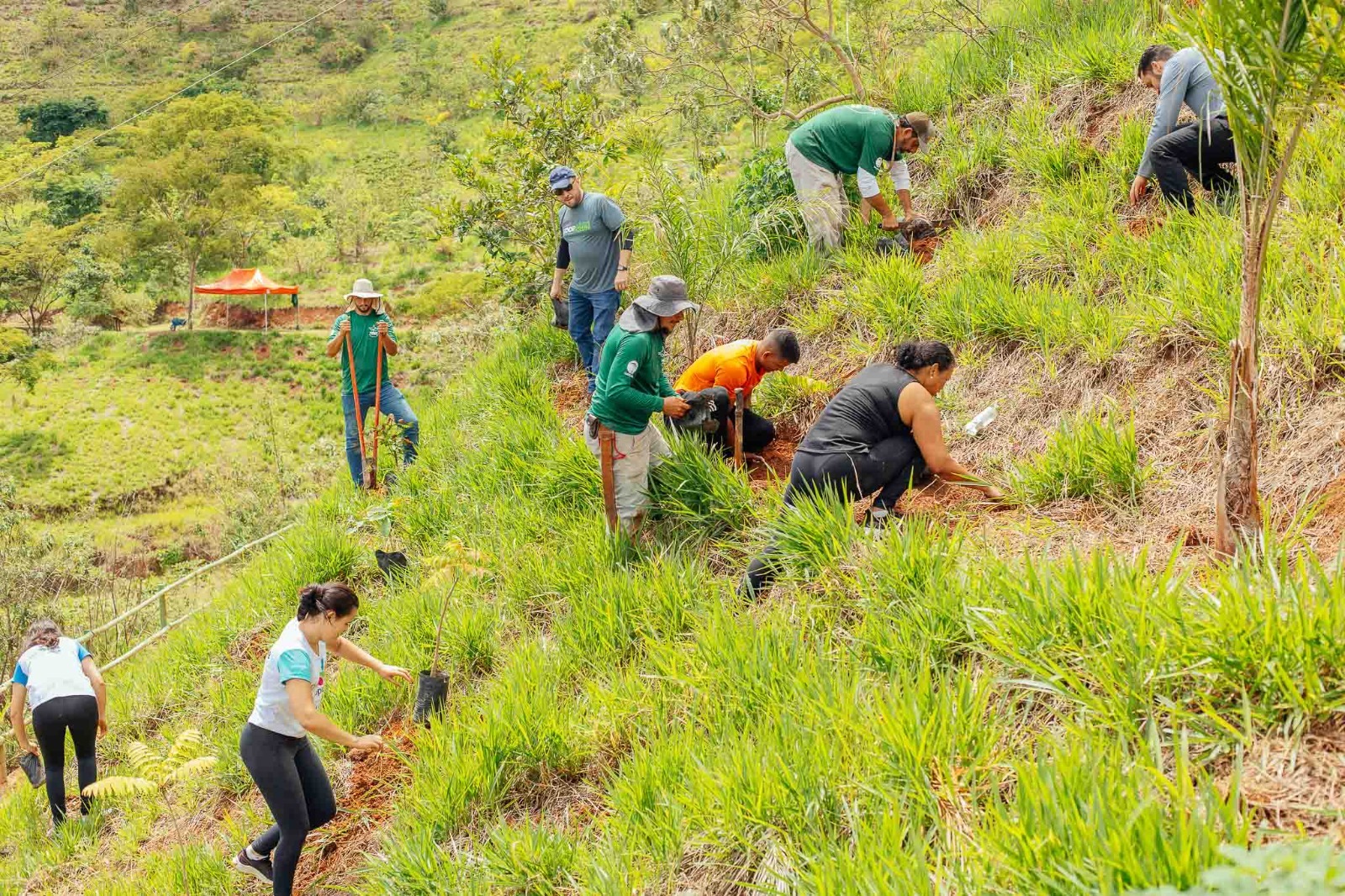 Mutirão reúne comunidade de Viçosa e promove plantio de 500 mudas no Parque do Cristo