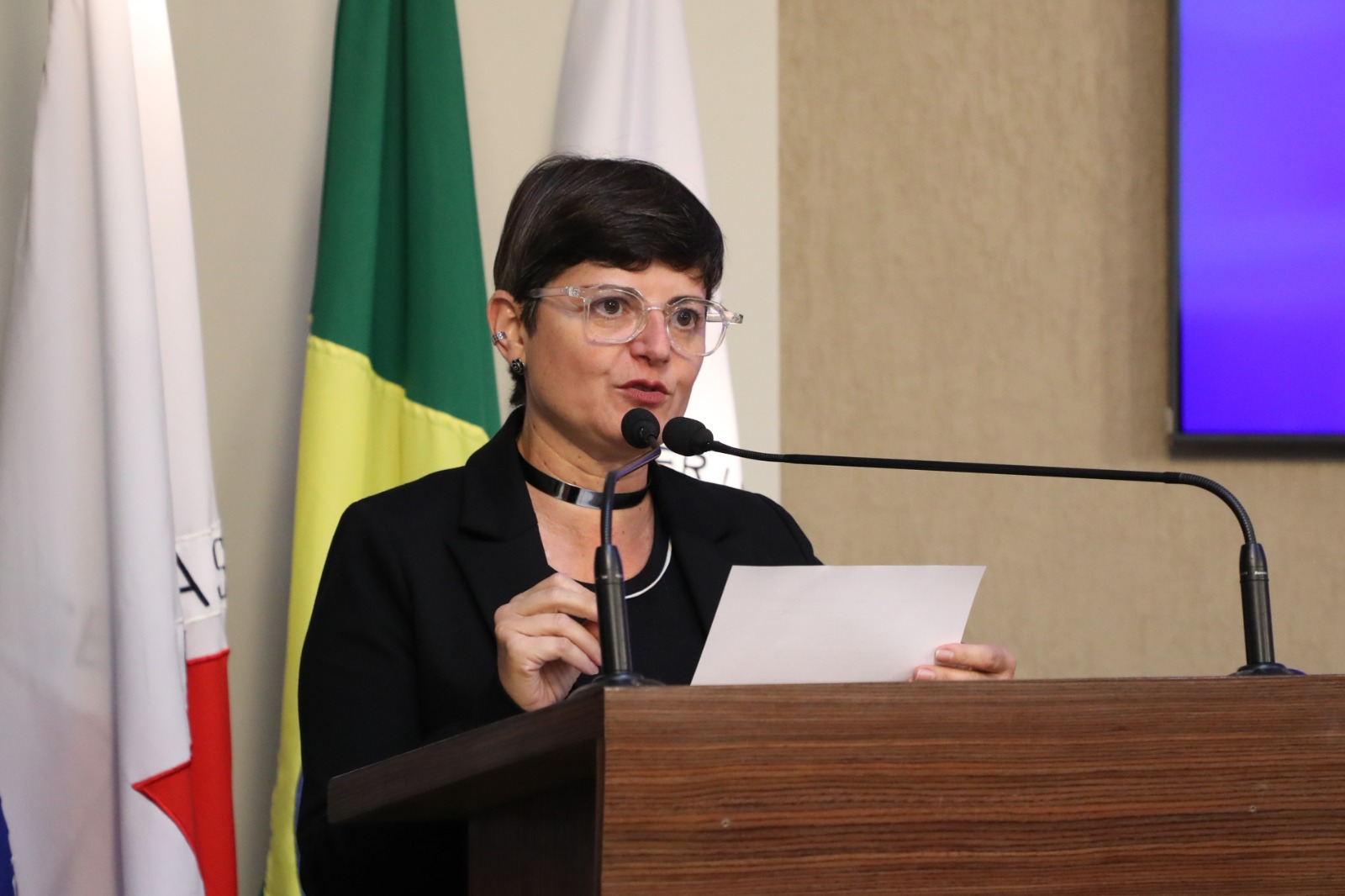 CMV aprova PPA 2026-2029 com previsão de recursos para o bem-estar animal