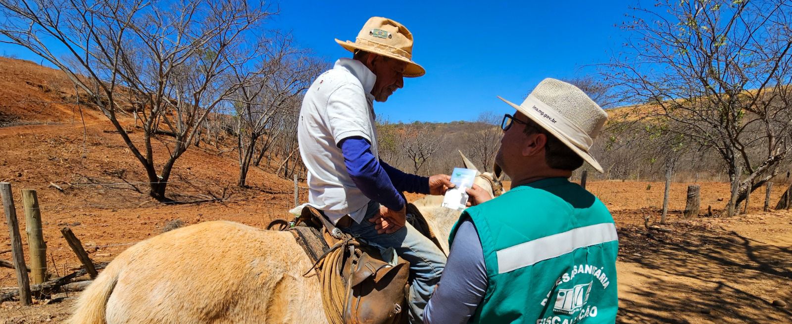 Ações do Instituto Mineiro de Agropecuária  marcam o desenvolvimento do agro mineiro em 2025