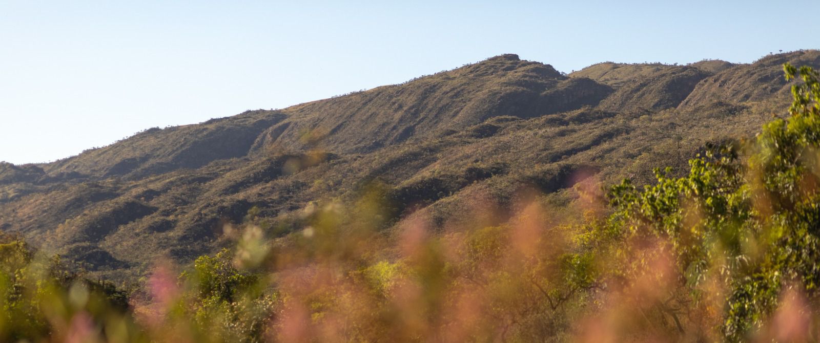 Censo Turismo 2025 aponta avanço de 62% nas ações de fomento do setor em Minas Gerais