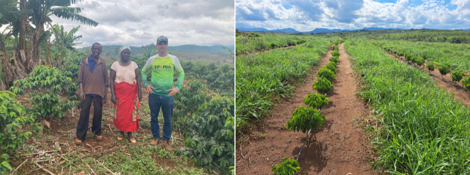 Epamig participa de missão técnica para a atividade cafeeira em Moçambique