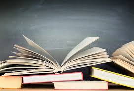 Câmara aprova política municipal de educação especial inclusiva e cria cargo de apoio escolar