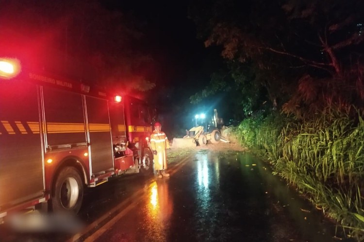 Deslizamento e queda de árvores interditam a BR-356 entre Ervália e Muriaé