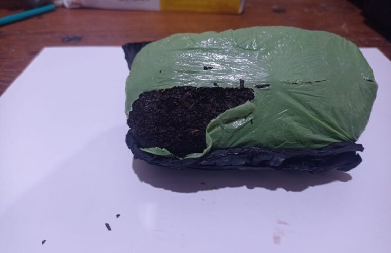 Mulher é presa ao tentar entrar no Presídio de Viçosa com celular escondido nas partes intimas