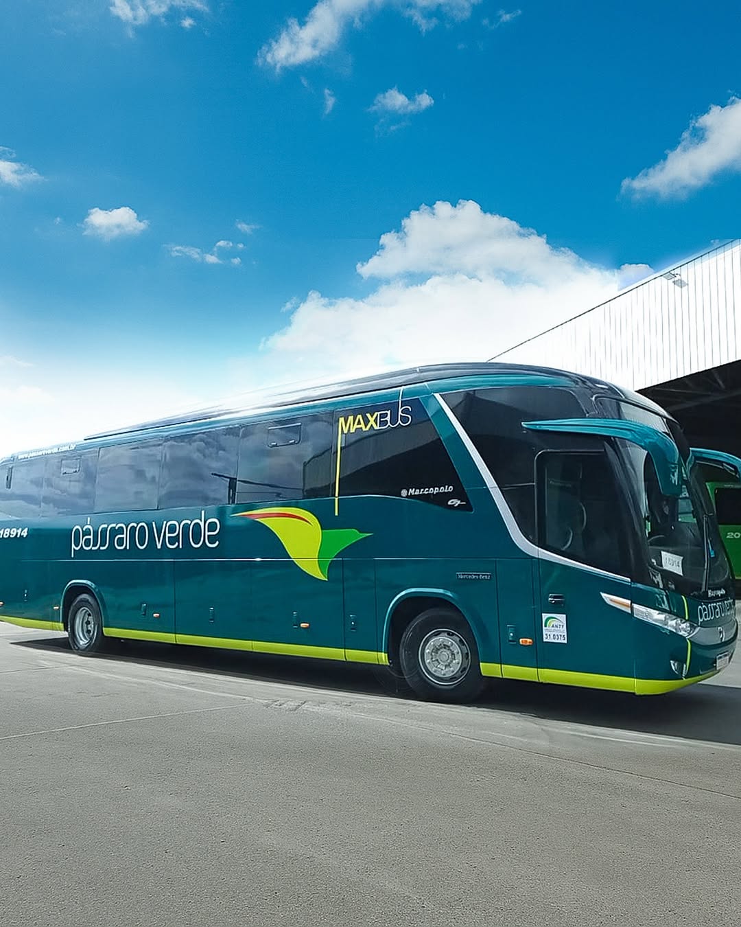 Procon-MPMG multa Viação Pássaro Verde por falhas no transporte intermunicipal