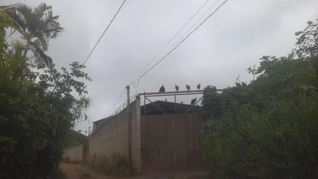 Responsáveis por depósito de ossos se manifestam sobre denúncia na zona rural de Coimbra
