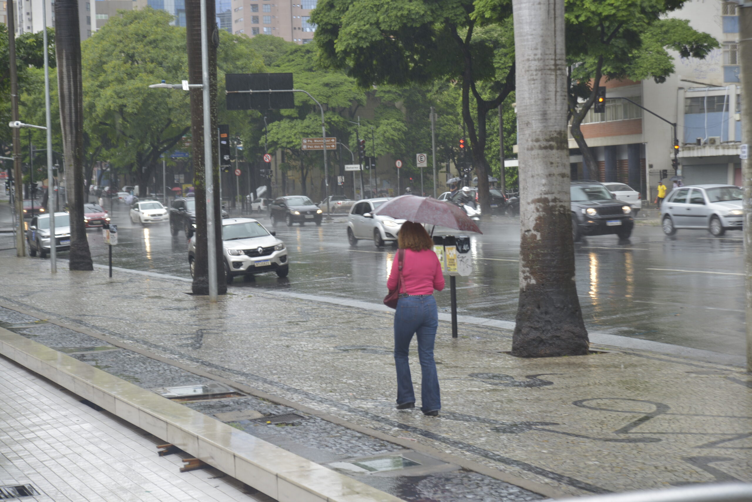 Governo de Minas alerta para semana de instabilidade e volumes elevados de chuva em todo o estado até 24/1